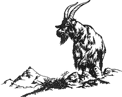 Иллюстрация к книге — Людо и звездный конь [i_007.jpg]