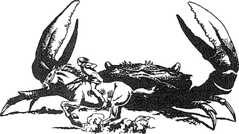 Иллюстрация к книге — Людо и звездный конь [i_014.jpg]