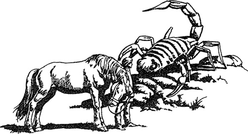 Иллюстрация к книге — Людо и звездный конь [i_017.jpg]