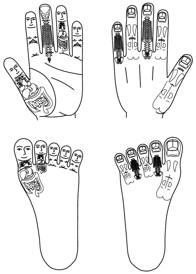 Иллюстрация к книге — Су-Джок лечит. Мигрень, кашель, боль в спине, тяжесть в желудке [i_005.jpg]