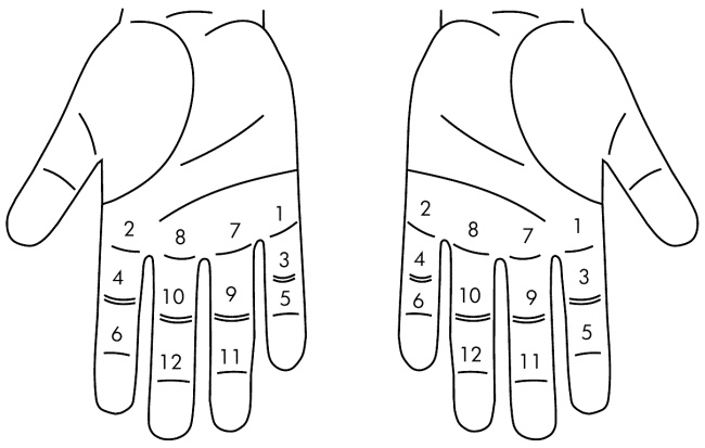 Иллюстрация к книге — Су-Джок лечит. Мигрень, кашель, боль в спине, тяжесть в желудке [i_025.jpg]
