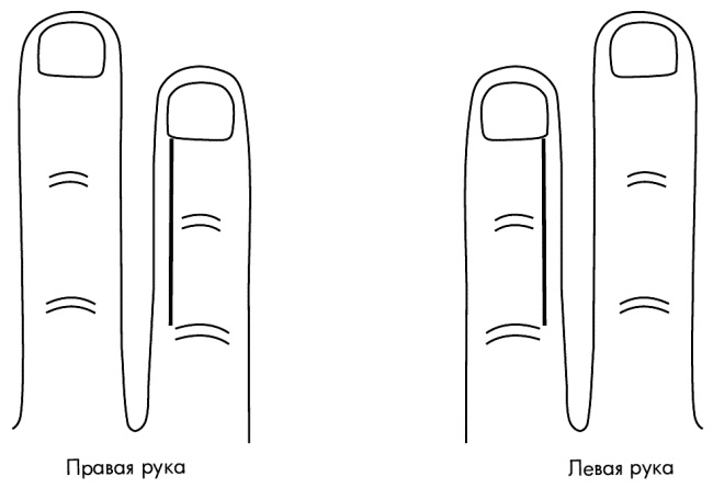 Иллюстрация к книге — Су-Джок лечит. Мигрень, кашель, боль в спине, тяжесть в желудке [i_035.jpg]
