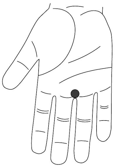 Иллюстрация к книге — Су-Джок лечит. Мигрень, кашель, боль в спине, тяжесть в желудке [i_055.jpg]