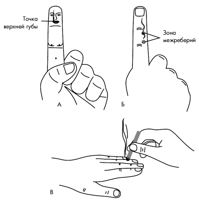 Иллюстрация к книге — Су-Джок лечит. Мигрень, кашель, боль в спине, тяжесть в желудке [i_056.jpg]