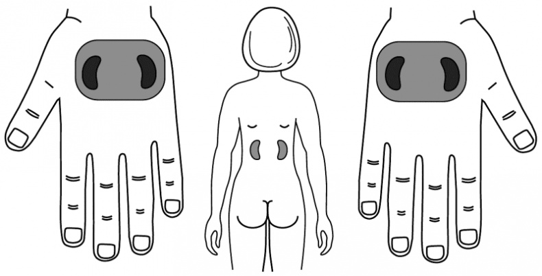 Иллюстрация к книге — Су-Джок лечит. Мигрень, кашель, боль в спине, тяжесть в желудке [i_079.jpg]
