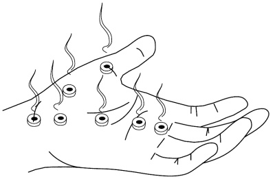 Иллюстрация к книге — Су-Джок лечит. Мигрень, кашель, боль в спине, тяжесть в желудке [i_080.jpg]