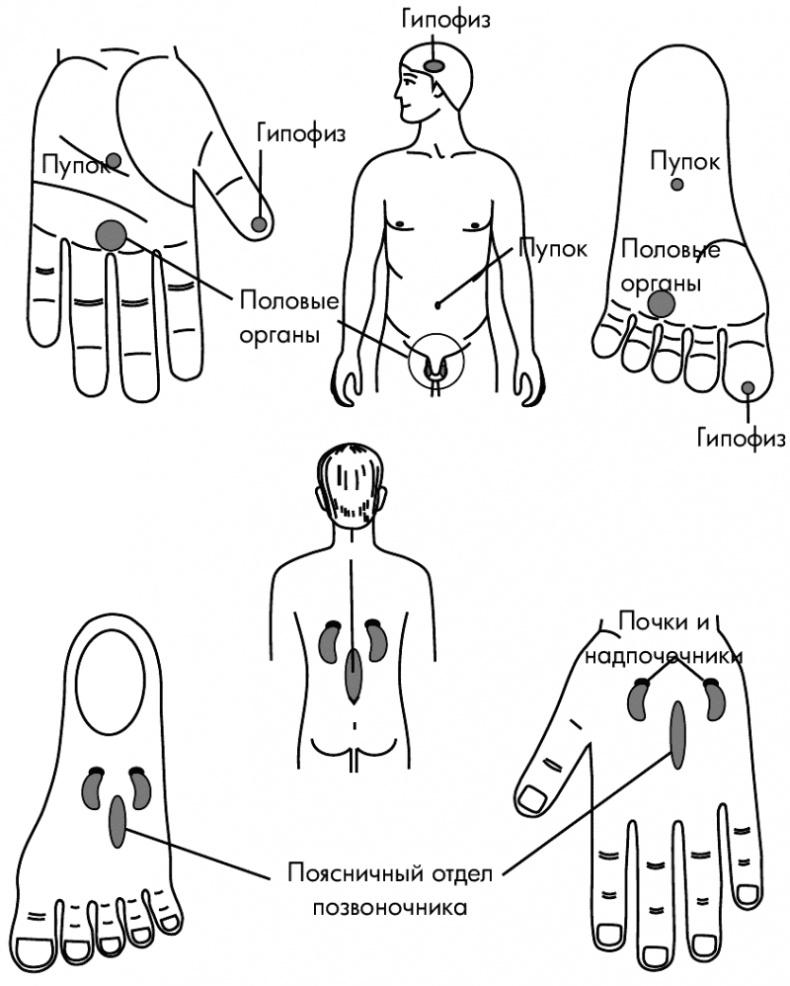 Иллюстрация к книге — Су-Джок лечит. Мигрень, кашель, боль в спине, тяжесть в желудке [i_084.jpg]