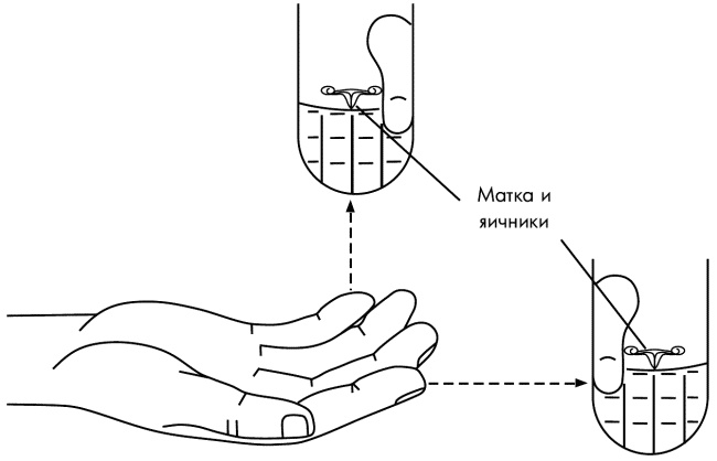 Иллюстрация к книге — Су-Джок лечит. Мигрень, кашель, боль в спине, тяжесть в желудке [i_088.jpg]