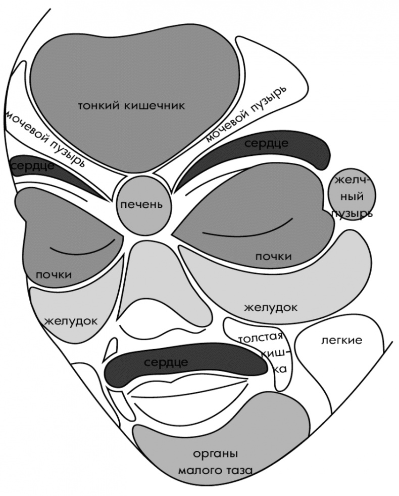 Иллюстрация к книге — Су-Джок лечит. Мигрень, кашель, боль в спине, тяжесть в желудке [i_096.jpg]