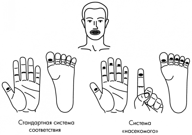 Иллюстрация к книге — Су-Джок лечит. Мигрень, кашель, боль в спине, тяжесть в желудке [i_108.jpg]