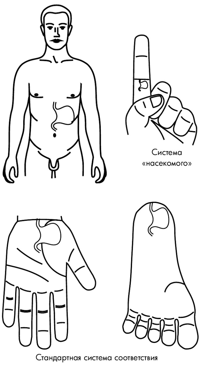 Иллюстрация к книге — Су-Джок лечит. Мигрень, кашель, боль в спине, тяжесть в желудке [i_112.jpg]