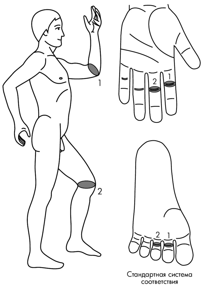 Иллюстрация к книге — Су-Джок лечит. Мигрень, кашель, боль в спине, тяжесть в желудке [i_121.jpg]