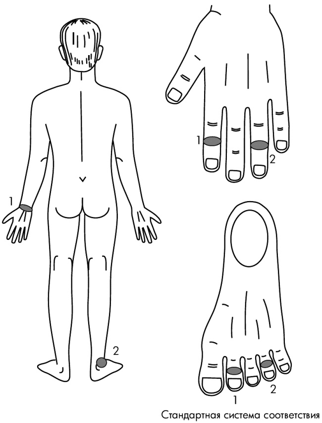 Иллюстрация к книге — Су-Джок лечит. Мигрень, кашель, боль в спине, тяжесть в желудке [i_124.jpg]