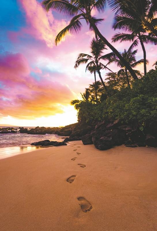 Иллюстрация к книге — Хоопонопоно. Гавайские практики для счастливой жизни [i_003.jpg]