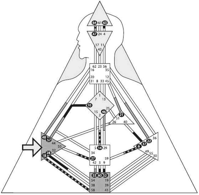 Иллюстрация к книге — Дизайн безоблачной жизни. Большая книга практик и медитаций для всего и от всего [i_001.jpg]