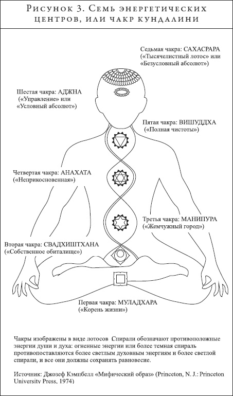 Иллюстрация к книге — Анатомия духа. Семь ступеней к силе и исцелению [i_003.jpg]