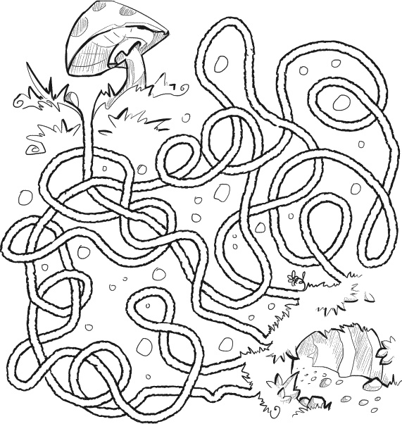 Иллюстрация к книге — Тайна лабиринта [_166.jpg]