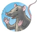 Иллюстрация к книге — Кефир, Гаврош и Рикошет. Возвращение Крысиной королевы [i_047.jpg]