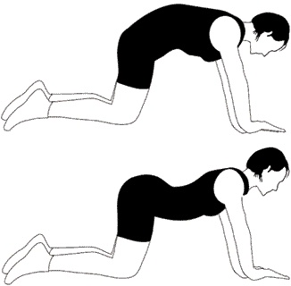 Иллюстрация к книге — Я выбираю здоровье! Выход есть! [i_014.jpg]