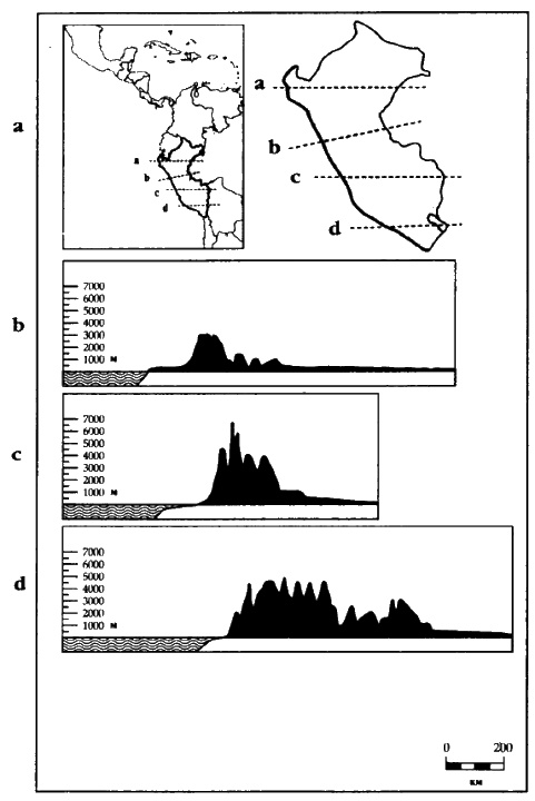 Иллюстрация к книге — Белые божества инков [i_007.jpg]
