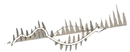 Иллюстрация к книге — Белые божества инков [i_098.jpg]