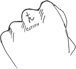 Иллюстрация к книге — Сам себе палач. Как сохранить и улучшить свою жизнь [_25.jpg]