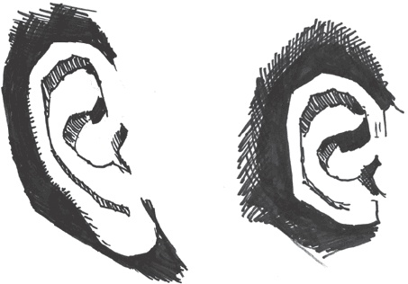 Иллюстрация к книге — Сам себе палач. Как сохранить и улучшить свою жизнь [_26.jpg]