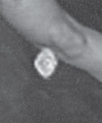 Иллюстрация к книге — Сам себе палач. Как сохранить и улучшить свою жизнь [_38.jpg]