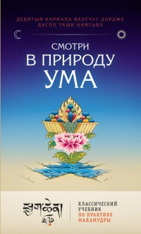 Книга Смотри на природу ума