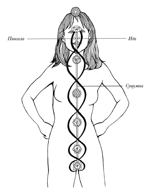 Иллюстрация к книге — Чакры. Полная энциклопедия [i_006.jpg]