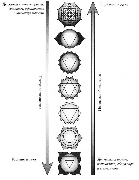 Иллюстрация к книге — Чакры. Полная энциклопедия [i_010.jpg]
