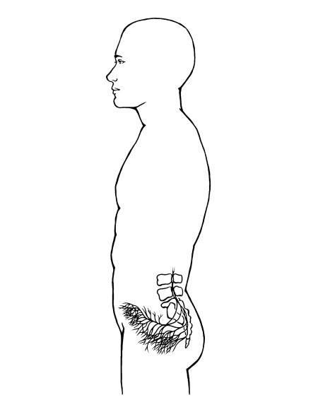 Иллюстрация к книге — Чакры. Полная энциклопедия [i_018.jpg]