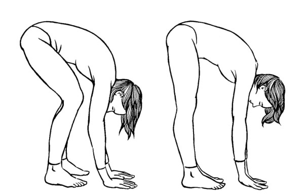 Иллюстрация к книге — Чакры. Полная энциклопедия [i_024.jpg]