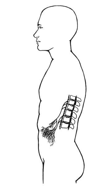 Иллюстрация к книге — Чакры. Полная энциклопедия [i_028.jpg]