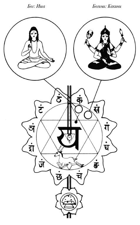 Иллюстрация к книге — Чакры. Полная энциклопедия [i_047.jpg]