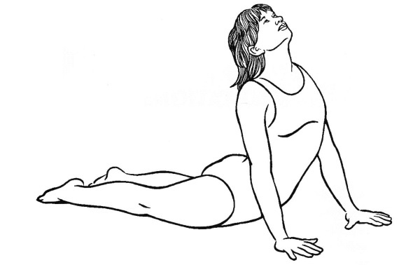 Иллюстрация к книге — Чакры. Полная энциклопедия [i_053.jpg]