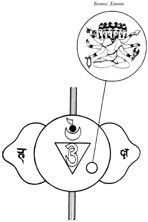 Иллюстрация к книге — Чакры. Полная энциклопедия [i_071.jpg]