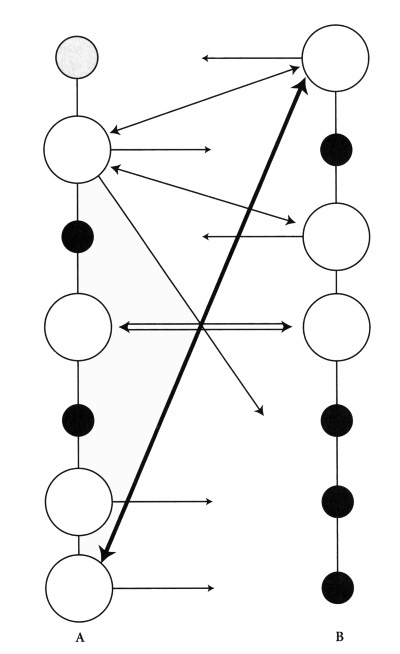 Иллюстрация к книге — Чакры. Полная энциклопедия [i_083.jpg]