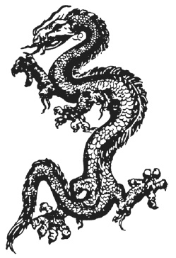 Иллюстрация к книге — Фэн-шуй. Практические советы на каждый день [i_001.jpg]