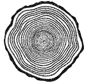 Иллюстрация к книге — Круг Года. Викканские праздники, их атрибуты и значение [_126.jpg]