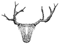 Иллюстрация к книге — Круг Года. Викканские праздники, их атрибуты и значение [_129.jpg]