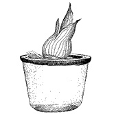 Иллюстрация к книге — Круг Года. Викканские праздники, их атрибуты и значение [_285.jpg]