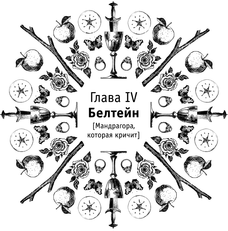 Иллюстрация к книге — Круг Года. Викканские праздники, их атрибуты и значение [_329.jpg]