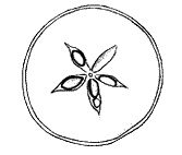 Иллюстрация к книге — Круг Года. Викканские праздники, их атрибуты и значение [_350_2.jpg]