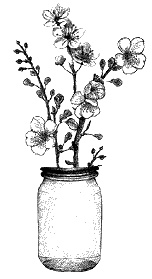 Иллюстрация к книге — Круг Года. Викканские праздники, их атрибуты и значение [_352.jpg]