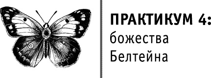 Иллюстрация к книге — Круг Года. Викканские праздники, их атрибуты и значение [_366.jpg]