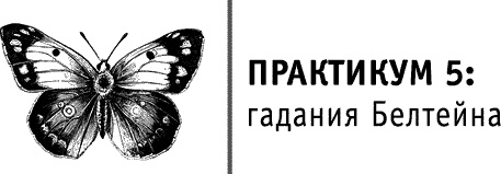Иллюстрация к книге — Круг Года. Викканские праздники, их атрибуты и значение [_383.jpg]