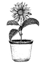 Иллюстрация к книге — Круг Года. Викканские праздники, их атрибуты и значение [_430.jpg]