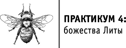 Иллюстрация к книге — Круг Года. Викканские праздники, их атрибуты и значение [_434.jpg]