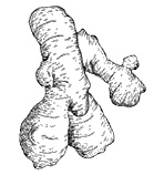 Иллюстрация к книге — Круг Года. Викканские праздники, их атрибуты и значение [_497.jpg]